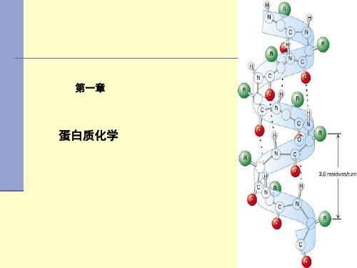 生物化学第一章蛋白质概论