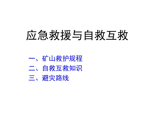 2010矿山应急救援与自救互救-PPT课件