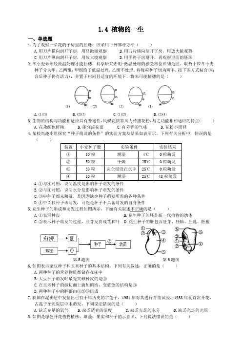 浙教版科学七年级下册 1.4植物的一生  同步练习题