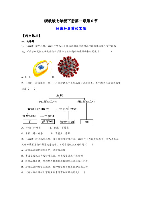 浙教版七年级科学下册同步精品课堂1.6细菌和真菌的繁殖(练习)(原卷版+解析)