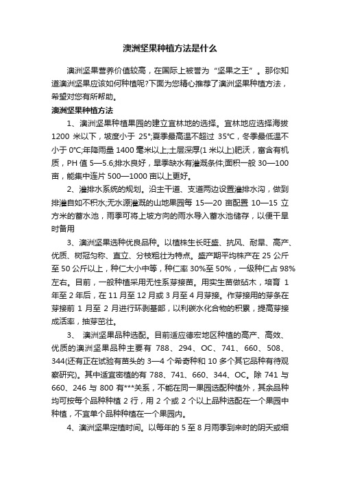 澳洲坚果种植方法是什么