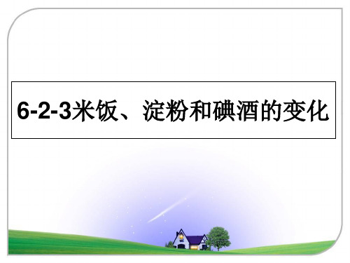 最新6-2-3米饭、淀粉和碘酒的变化课件PPT