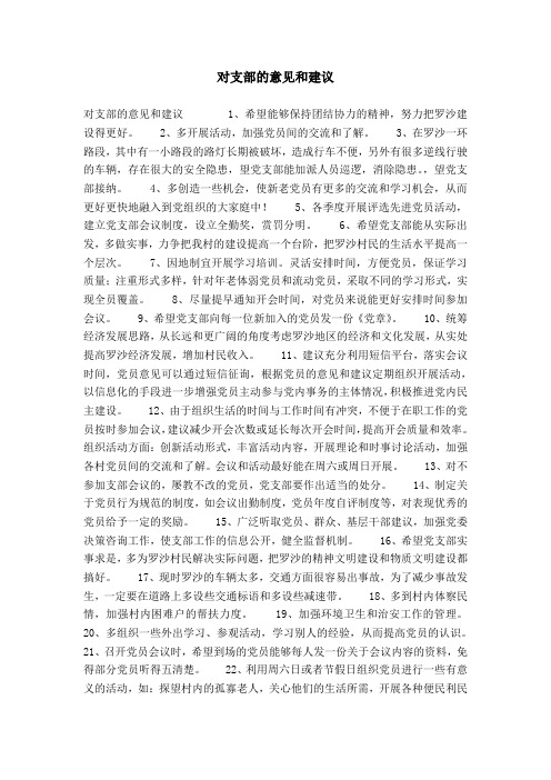 对支部的意见和建议