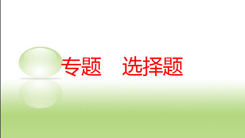 2019年中考物理专题突破 选择题复习课件