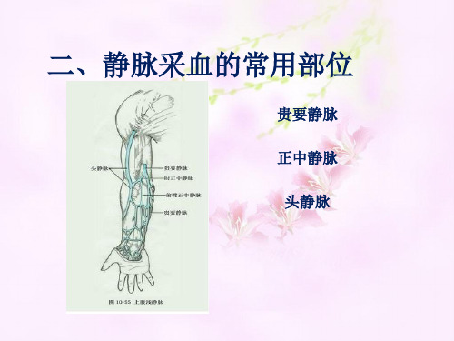 静脉采血幻灯片-副本(1).ppt