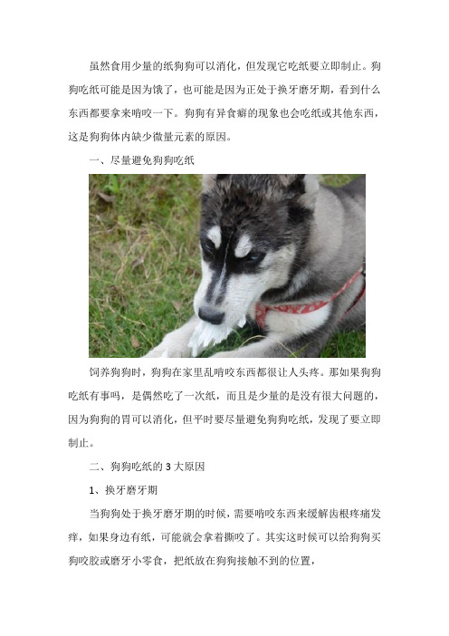 狗狗吃纸有事吗