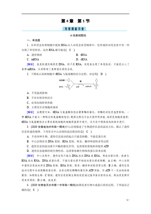 2021高中生物人教版必修2：第4章 第1节 基因指导蛋白质的合成 含解析