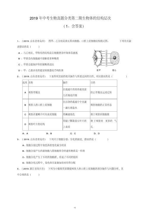 2019年中考生物真题分类：生物体的结构层次2(含答案)