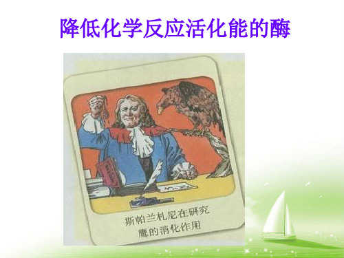 降低化学反应的活化能