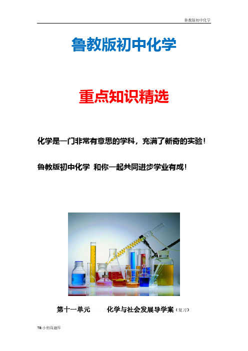 新版鲁教版初中化学九年级上册第十一单元《与社会发展》复习导学案