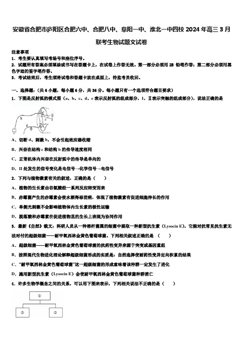 安徽省合肥市庐阳区合肥六中、合肥八中、阜阳一中、淮北一中四校2024年高三3月联考生物试题文试卷含解