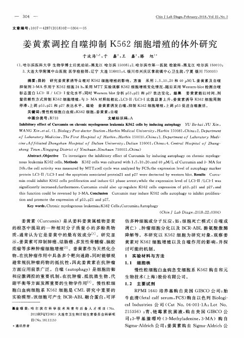 姜黄素调控自噬抑制K562细胞增殖的体外研究