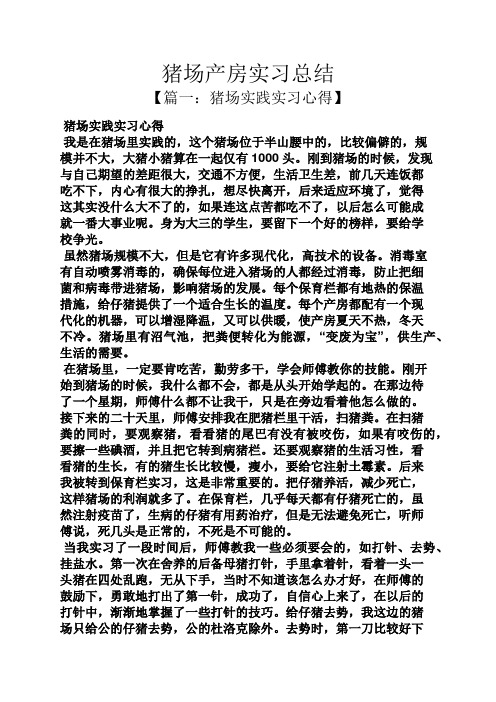 工作总结之猪场产房实习总结