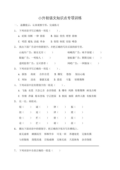 部编版小升初开学考专项训练-字形(2)(含答案) 