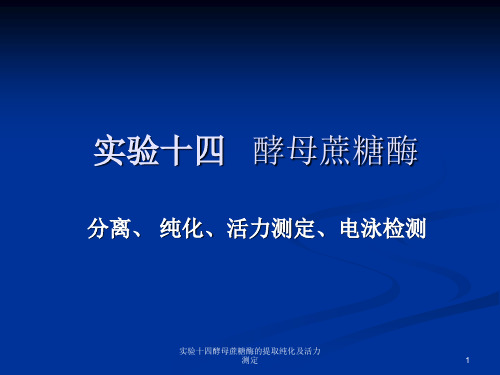 实验十四酵母蔗糖酶的提取纯化及活力测定课件