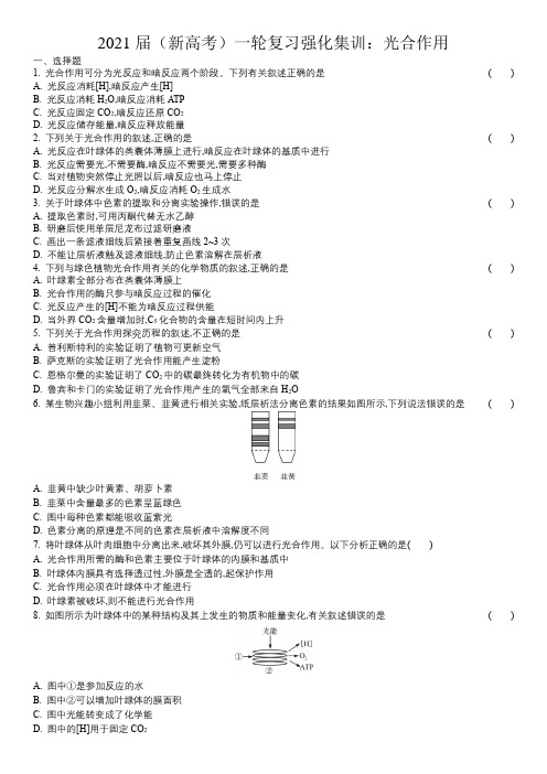 2021届(新高考)一轮复习强化集训： 光合作用(含多选)