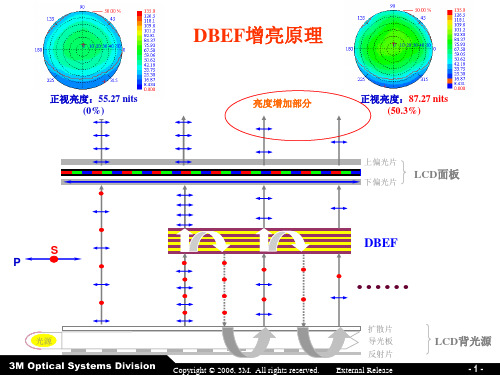 DBEF pol原理