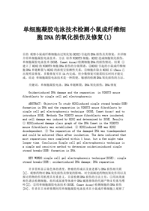 单细胞凝胶电泳技术检测小鼠成纤维细胞DNA的氧化损伤及修复(1).