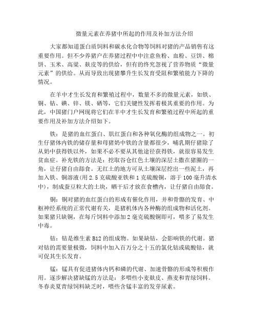 微量元素在养猪中所起的作用及补加方法介绍