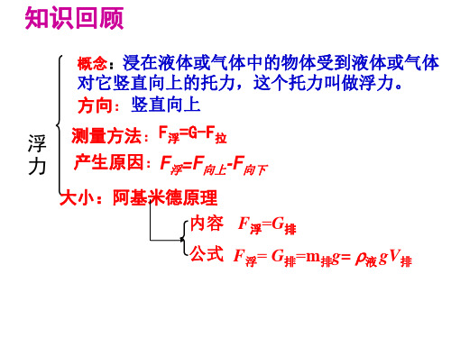 10.2 阿基米德原理