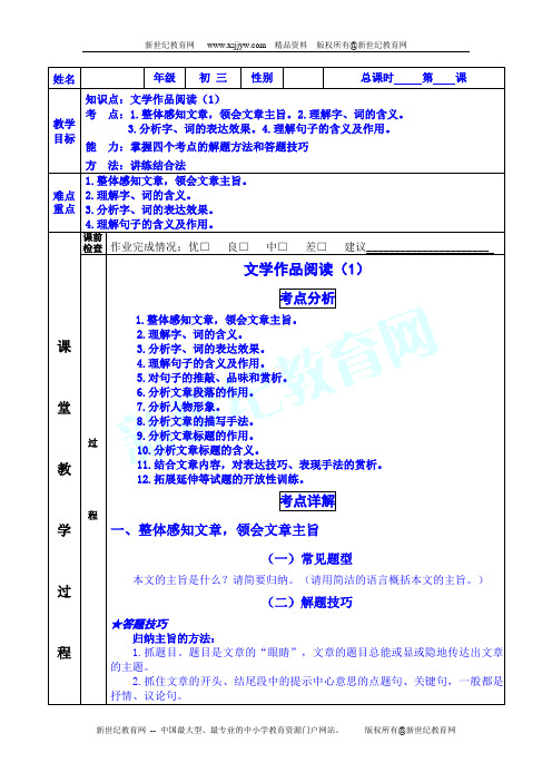 中考一对一教案--文学作品阅读