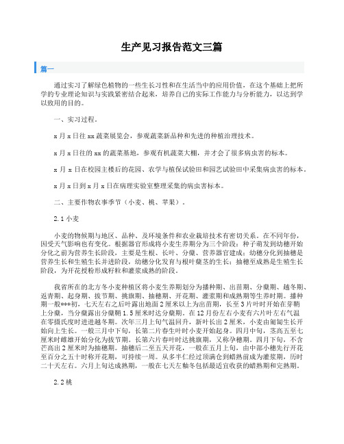 生产见习报告范文三篇