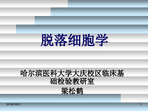 脱落细胞学检查技术及基本知识