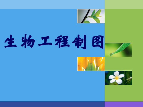生物工程制图 制图基本知识