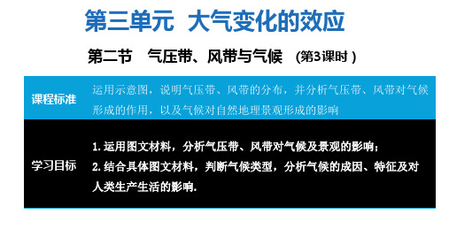 2022-2023学年鲁教版高中地理选择性必修一课件3-2 气压带、风带与气候 (47张) (2)