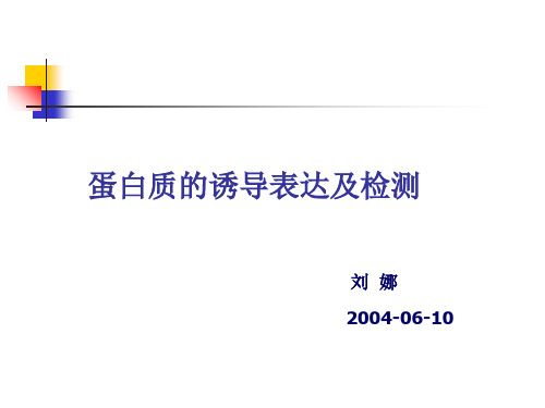 蛋白质诱导表达及检测