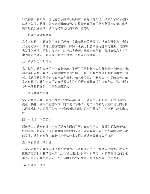 植物病理实习报告感想