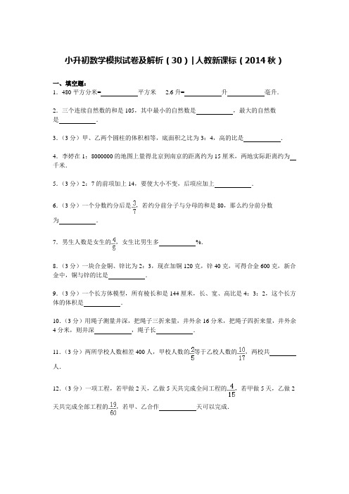 人教新课标六年级下册数学试题-小升初数学模拟试卷(含解析) (30)