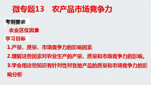 2022届高考地理小专题复习课件农产品市场竞争力