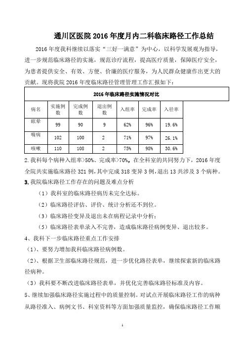 2016年临床路径总结 文档