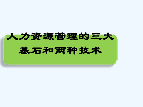 人力资源管理三大基石和两种技术-PPT