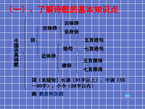 诗歌的基本知识点讲解