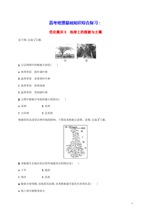 高考地理基础知识综合复习优化集训5地球上的植被与土壤(含答案)