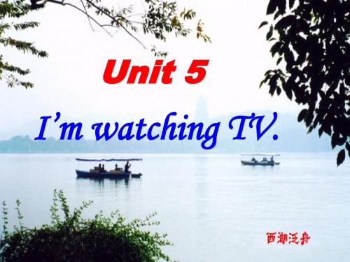 七年级英语下册Unit5I'm watching TV课件人教版新目标