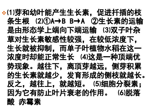 4-1种群的特征