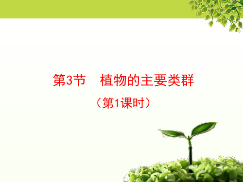 北师大版生物八年级下册 《植物的主要类群》第1课时授课课件