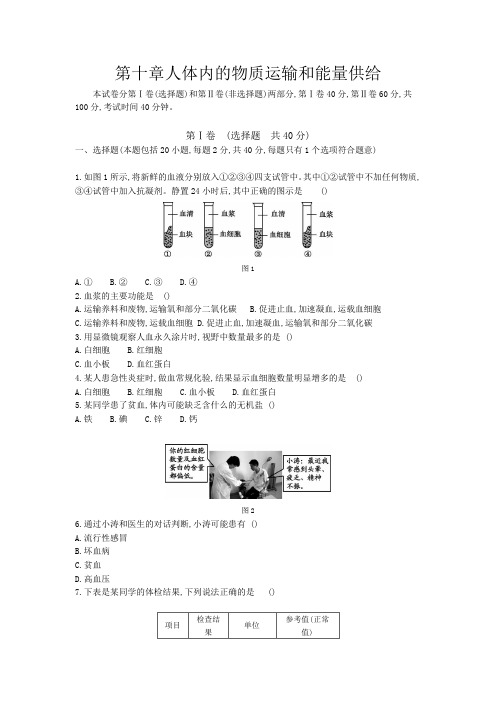 苏教版七年级生物下册 第十章人体内的物质运输和能量供给单元测试试题