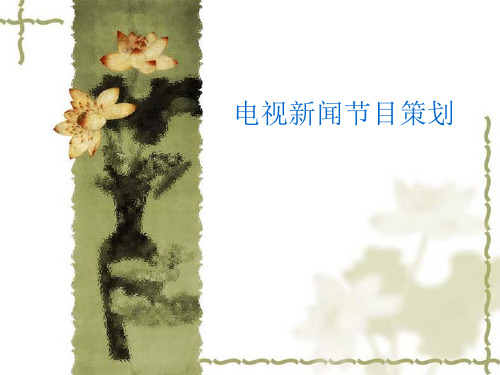 具体新闻节目.ppt