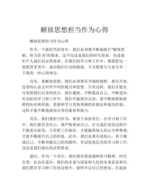 解放思想担当作为心得