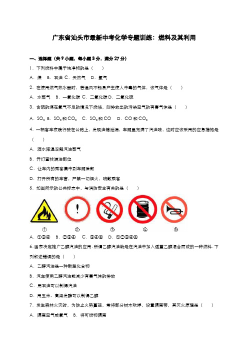 2020-2021学年广东省中考化学专题《燃料及其利用》模拟试题及答案解析