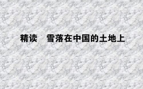 中国现代诗歌散文欣赏：5.1《雪落在中国的土地上》ppt课件(含答案)