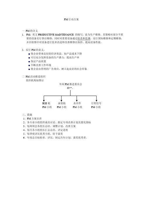 PM行动方案