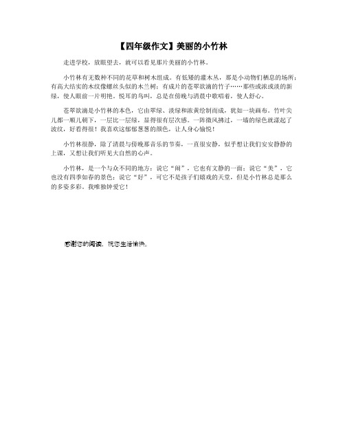 【四年级作文】美丽的小竹林