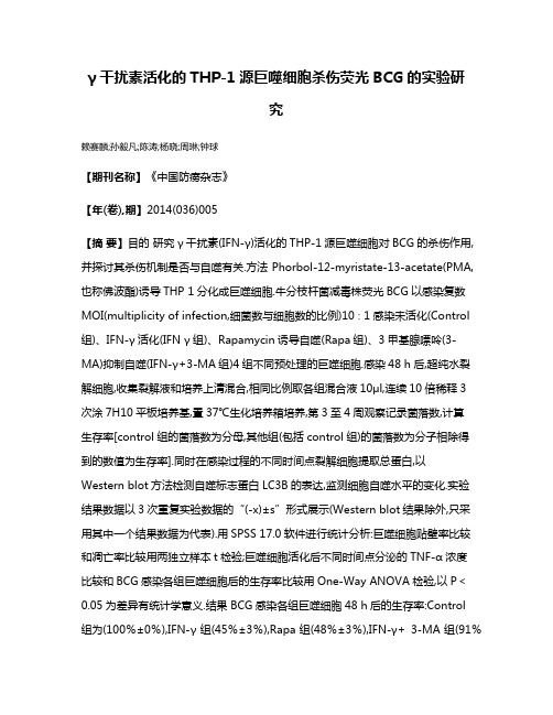 γ干扰素活化的THP-1源巨噬细胞杀伤荧光BCG的实验研究