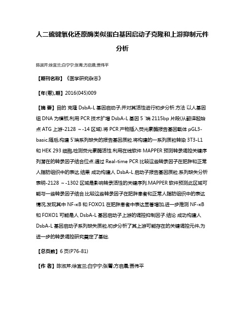 人二硫键氧化还原酶类似蛋白基因启动子克隆和上游抑制元件分析