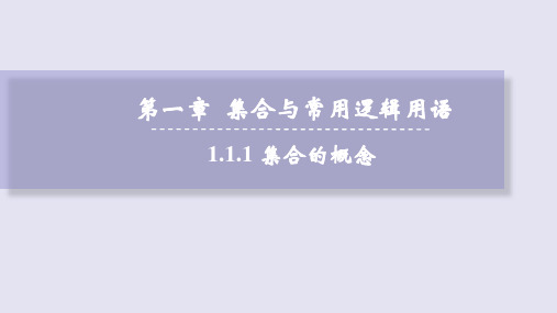 集合的概念(共两课时)课件高一上学期数学人教A版(2019)必修第一册